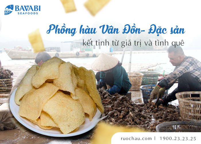 phồng hàu vân đồn