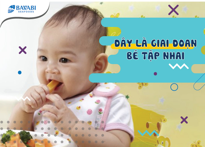 this is the stage when your baby learns to chew