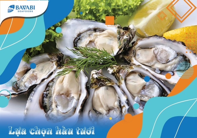 lừa chọn hàu mới