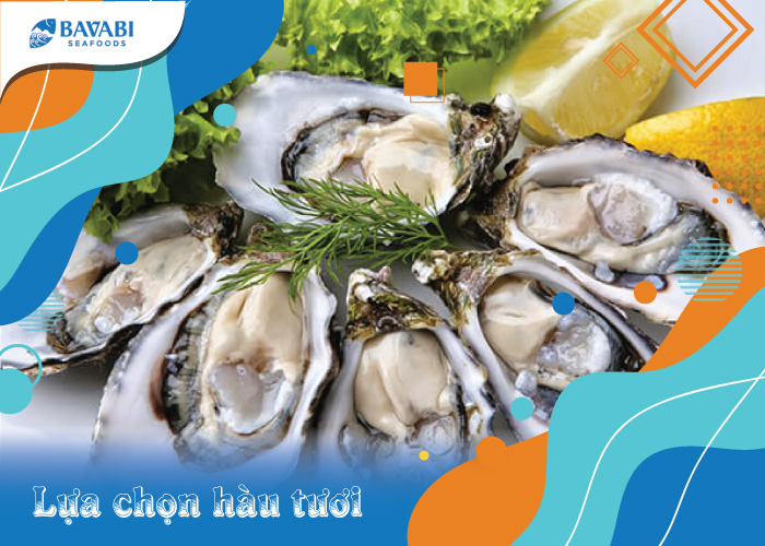 lửa chọn hàu mới