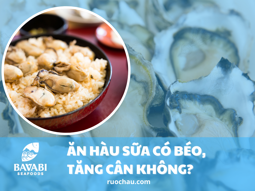 Ăn hàu sữa có béo không? Hội chị em nhất định phải biết