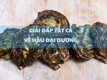 Giải đáp tất cả các thông tin về Hàu Đại Dương