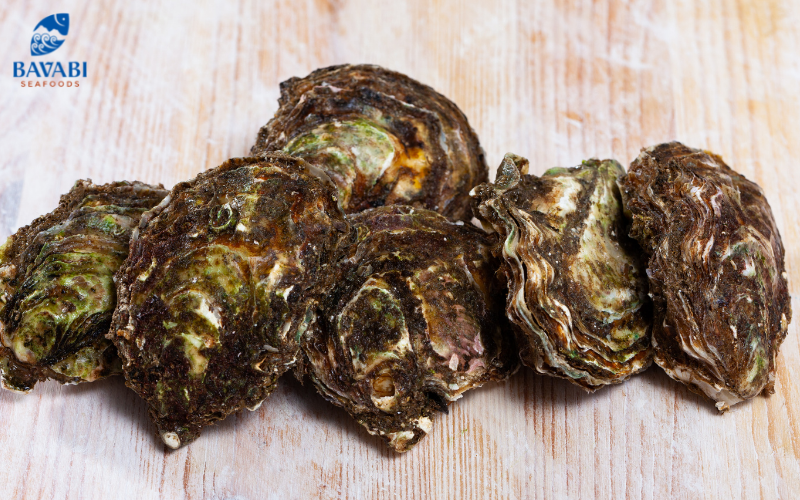 Learn about the characteristics of Pacific Milk Oysters from A to Z