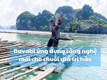 Bavabi ứng dụng công nghệ mới cho chuỗi giá trị hàu
