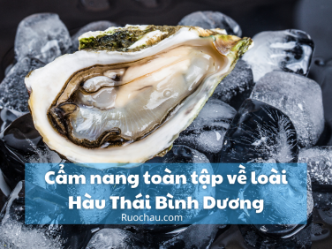 Cẩm nang toàn tập về loài Hàu Thái Bình Dương