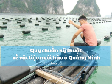 Quy chuẩn kỹ thuật về vật liệu nuôi hàu ở Quảng Ninh