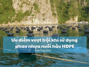 Ưu điểm vượt trội khi sử dụng phao nhựa nuôi hàu HDPE