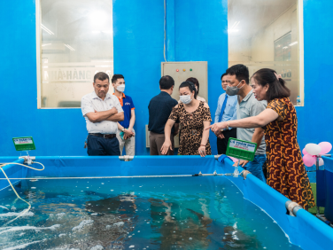 Từ Xuyên Việt Holdding đến Farm cá CHOCAVI giữa lòng thủ đô