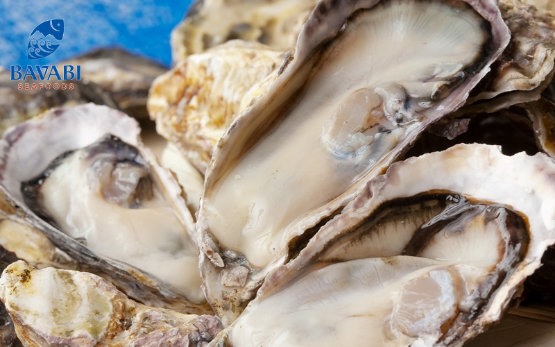 Bavabi Japanese Milk Oysters - Product of Vietnam - Japan cooperation